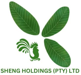 Sheng Holdings PTY LTD Logo